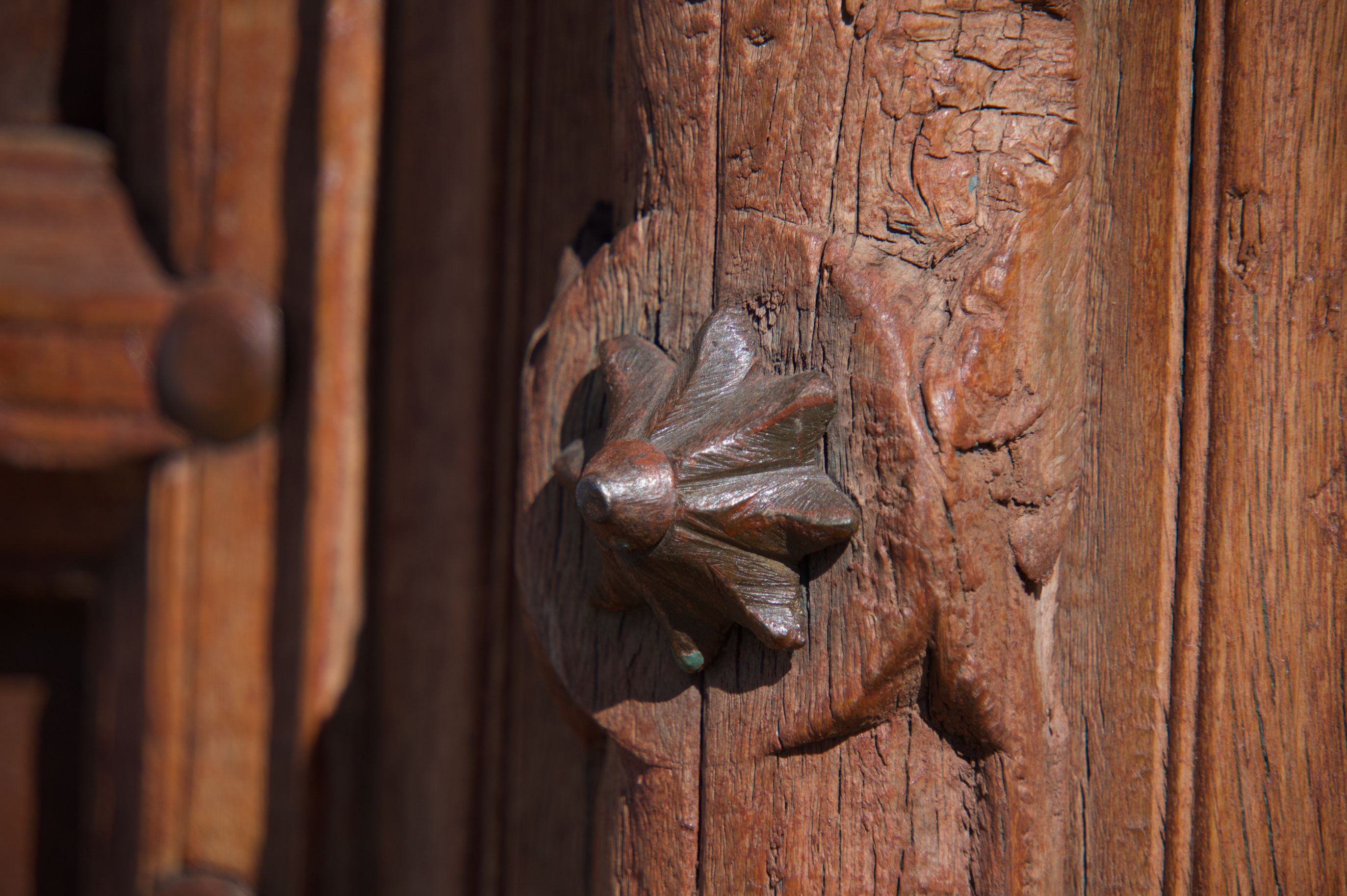 Gran Puerta Noble India del Siglo XIX - 9