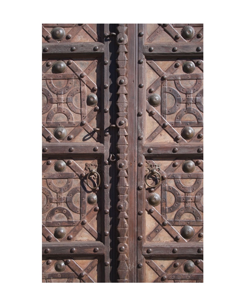 Gran Puerta India del Siglo XIX - 3