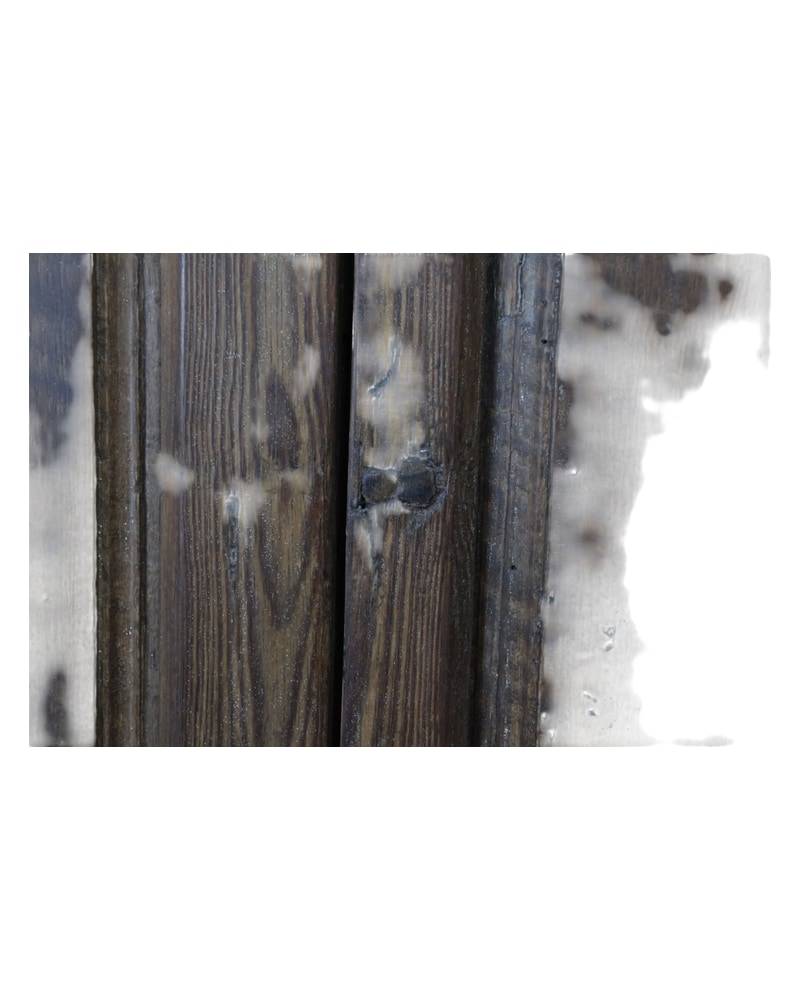 Double Wooden Door, 18th or 19th Century - 4/11