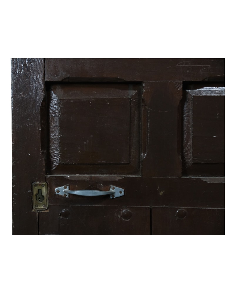 19th or 20th Century Walnut Wood Door with Panels - 4/5
