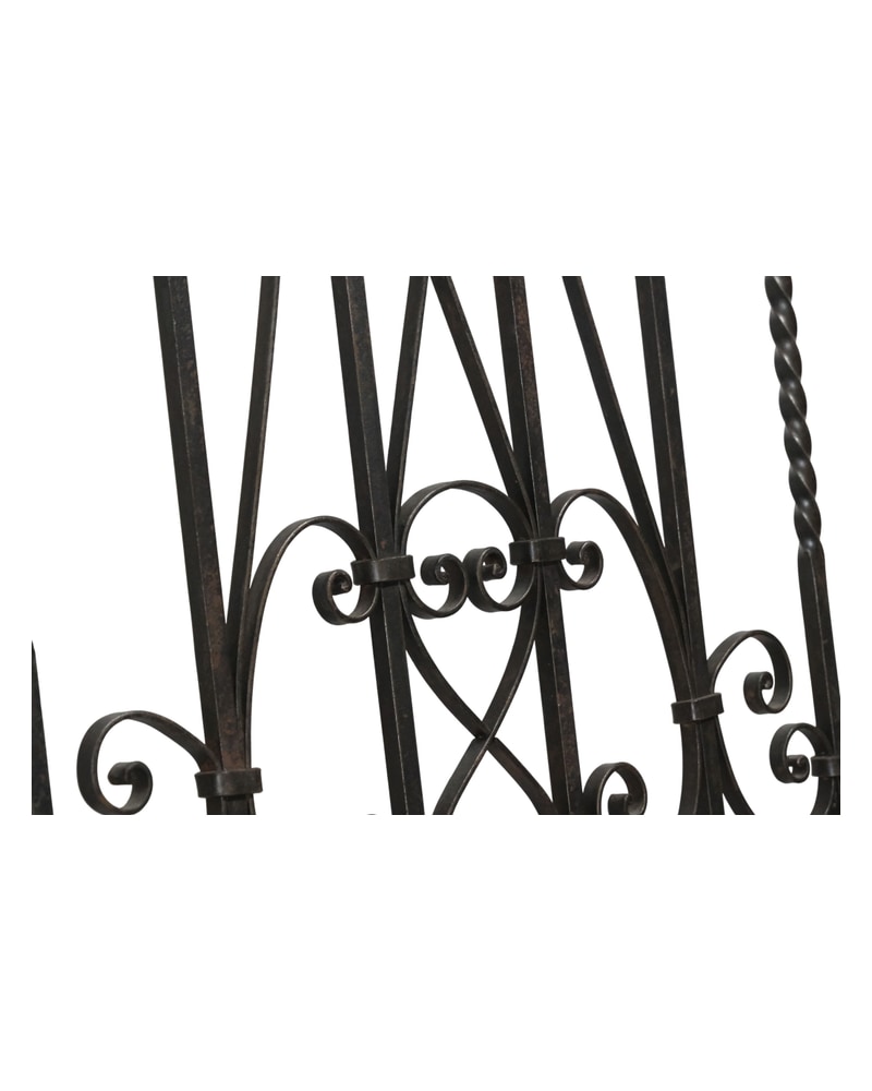 Artistic wrought iron gate from the 19th century with floral decorations - 10/11