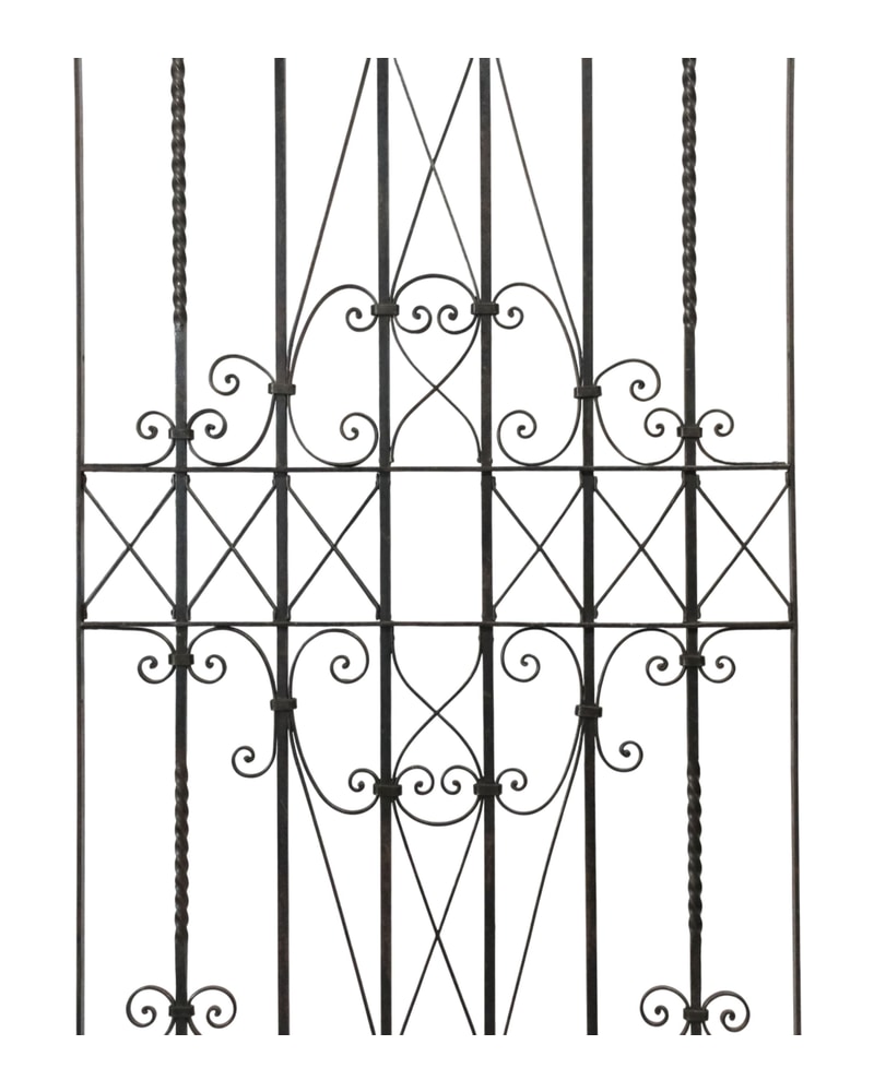 Artistic wrought iron gate from the 19th century with floral decorations - 5/11