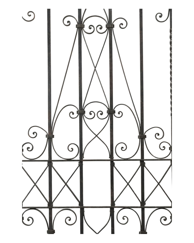 Artistic wrought iron gate from the 19th century with floral decorations - 2/11