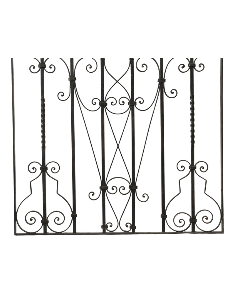 Artistic wrought iron gate from the 19th century with floral decorations - 4/11