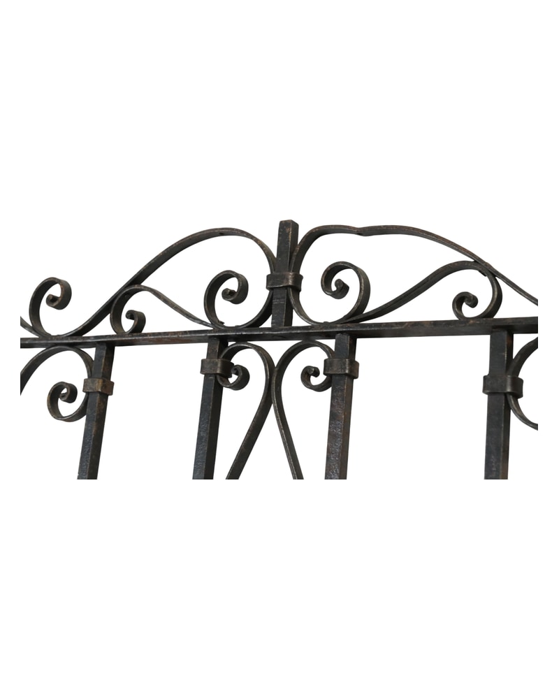Artistic wrought iron gate from the 19th century with floral decorations - 7/11