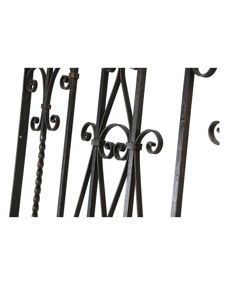 Artistic wrought iron gate from the 19th century with floral decorations - 8/11