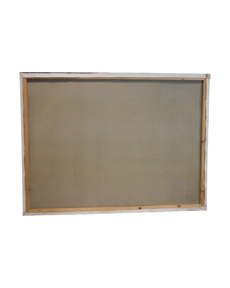 copia-de-salinas-siglo-xx