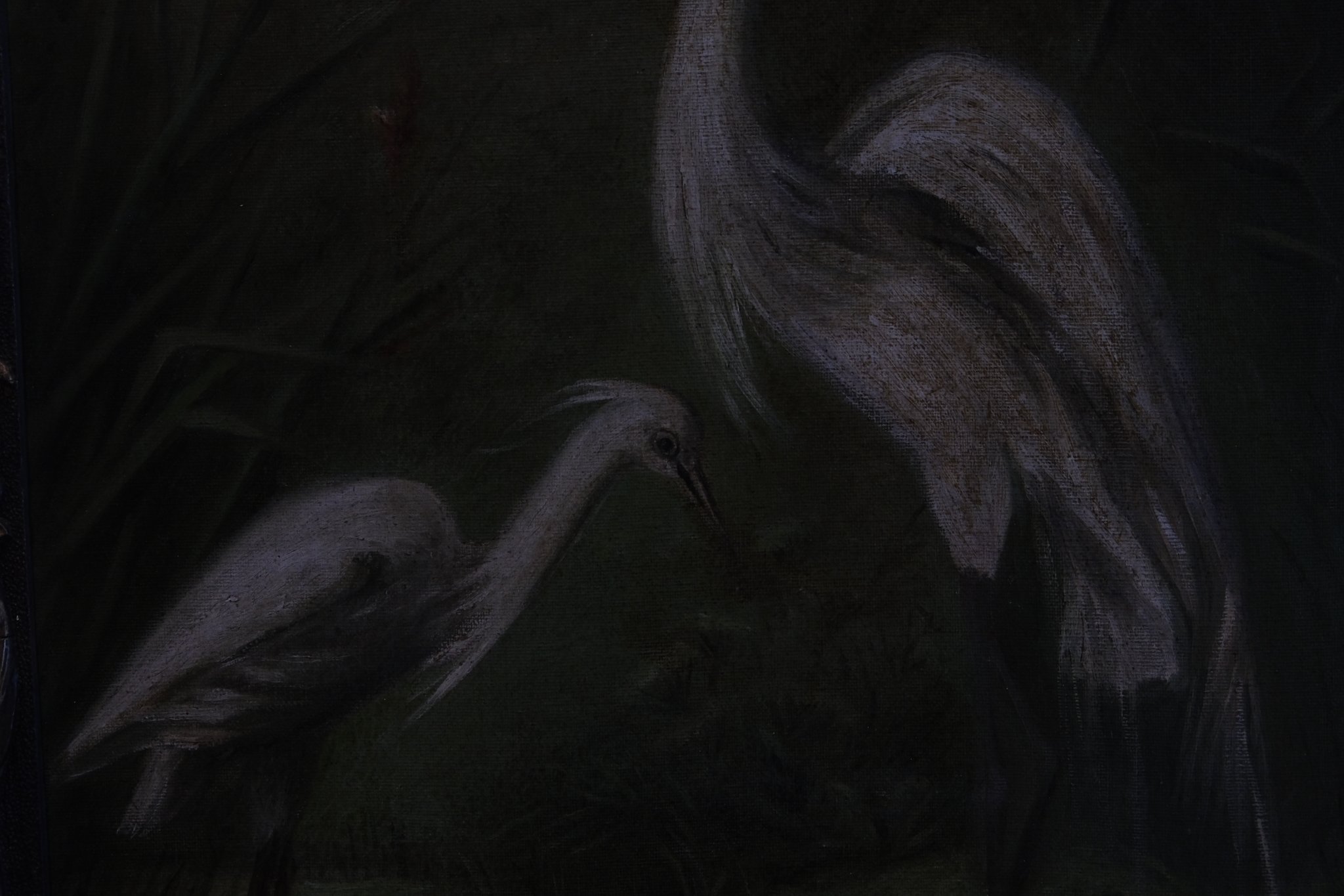 1911-artista-linda-fili