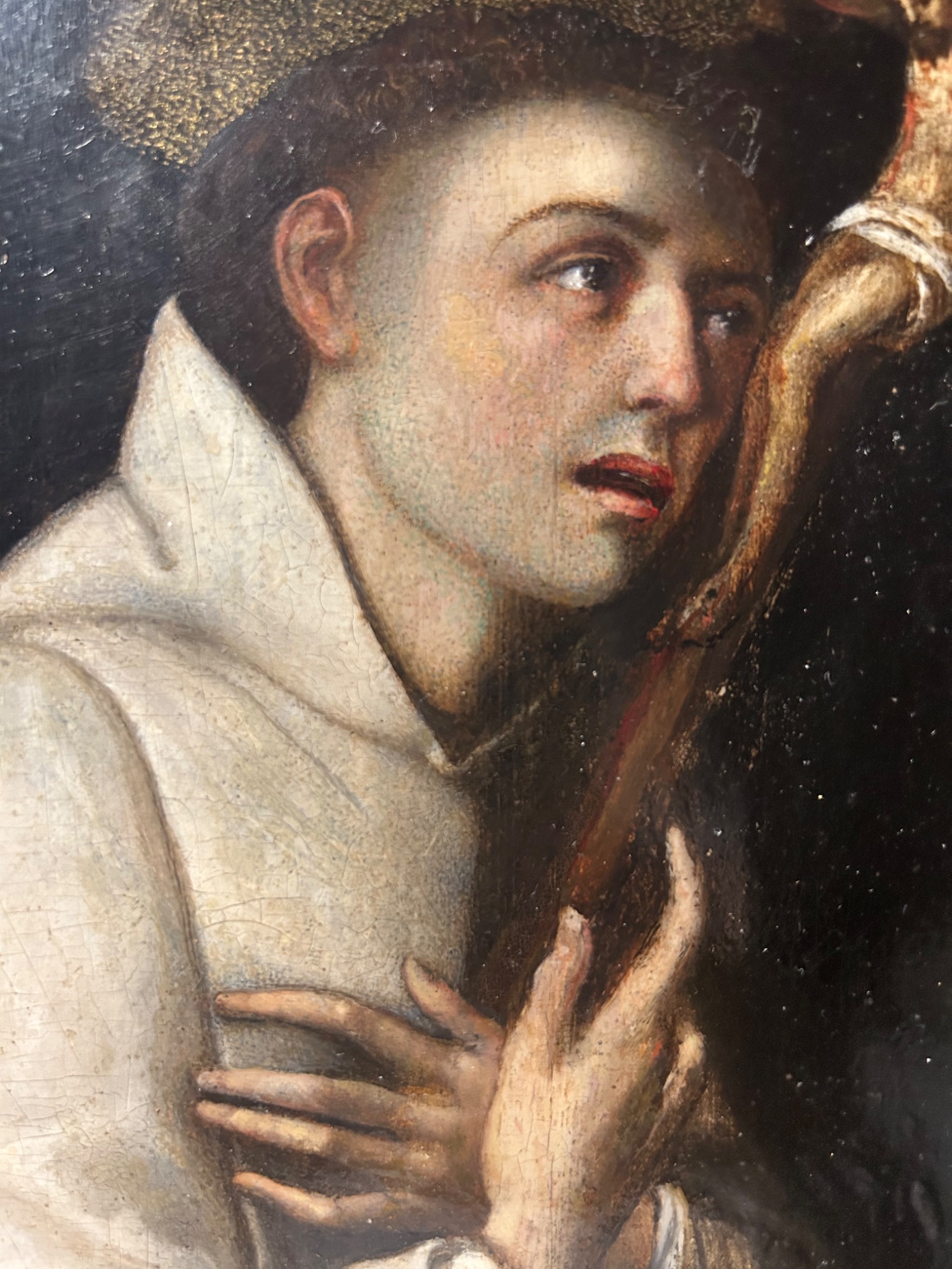 san-bruno-por-fray-juan-sanchez-cotan-oleo-sobre-tabla