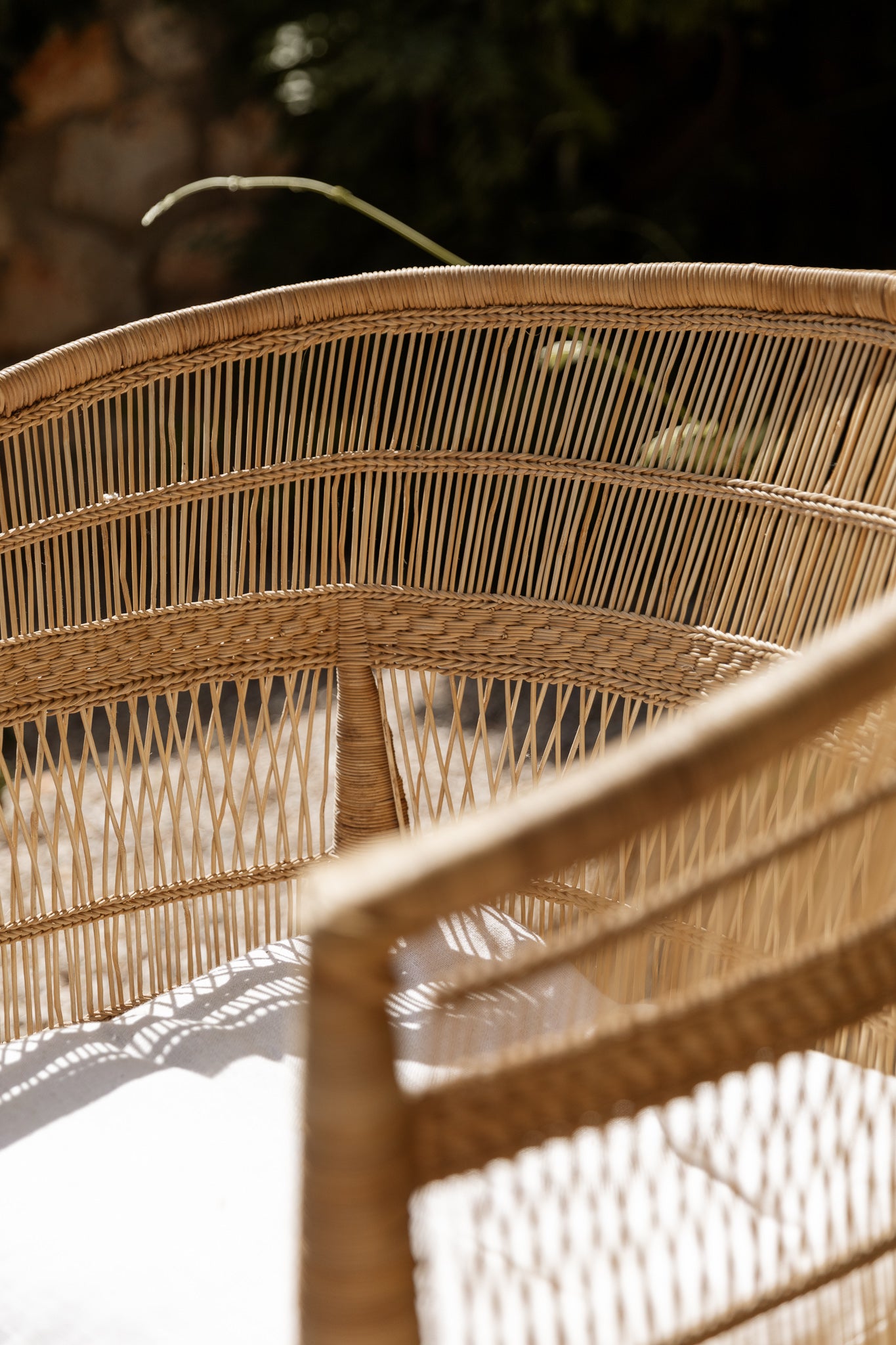 Butaca del Siglo XXI en Ratán con Respaldo Curvo - 6