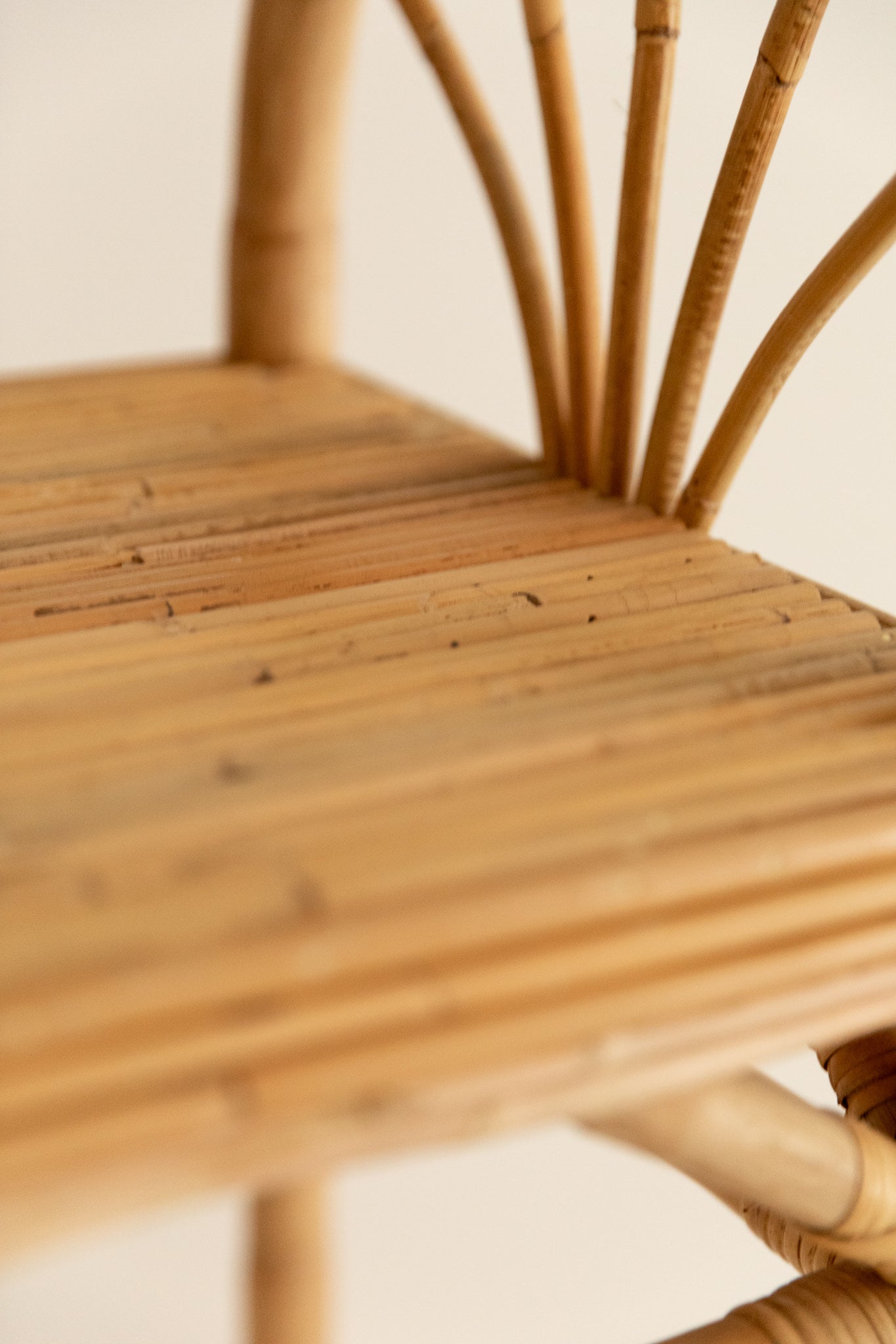 Taburete de Ratán del Siglo XXI con Respaldo Curvo - 5