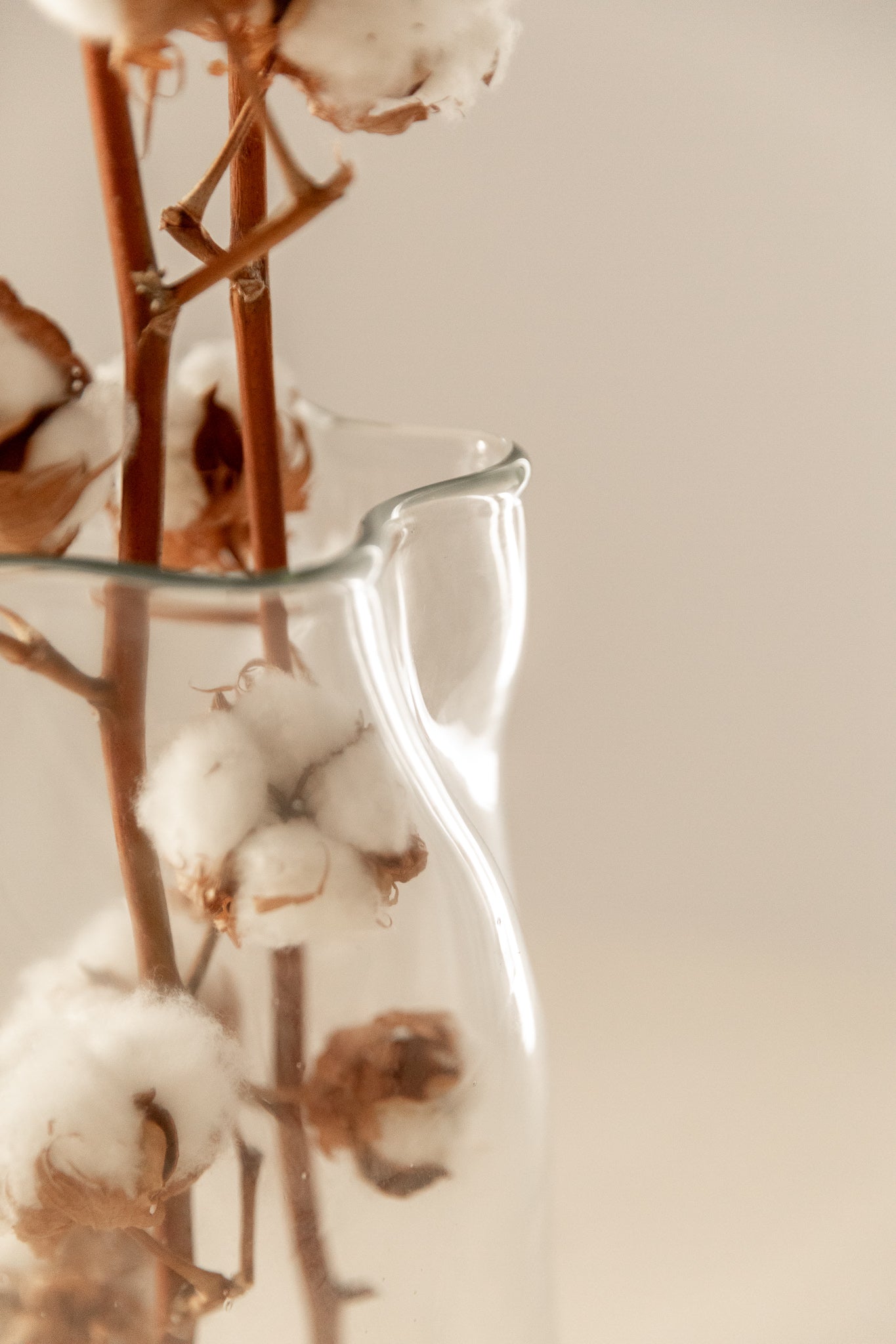 Jarrón de Cristal Orgánico del Siglo XXI - 5