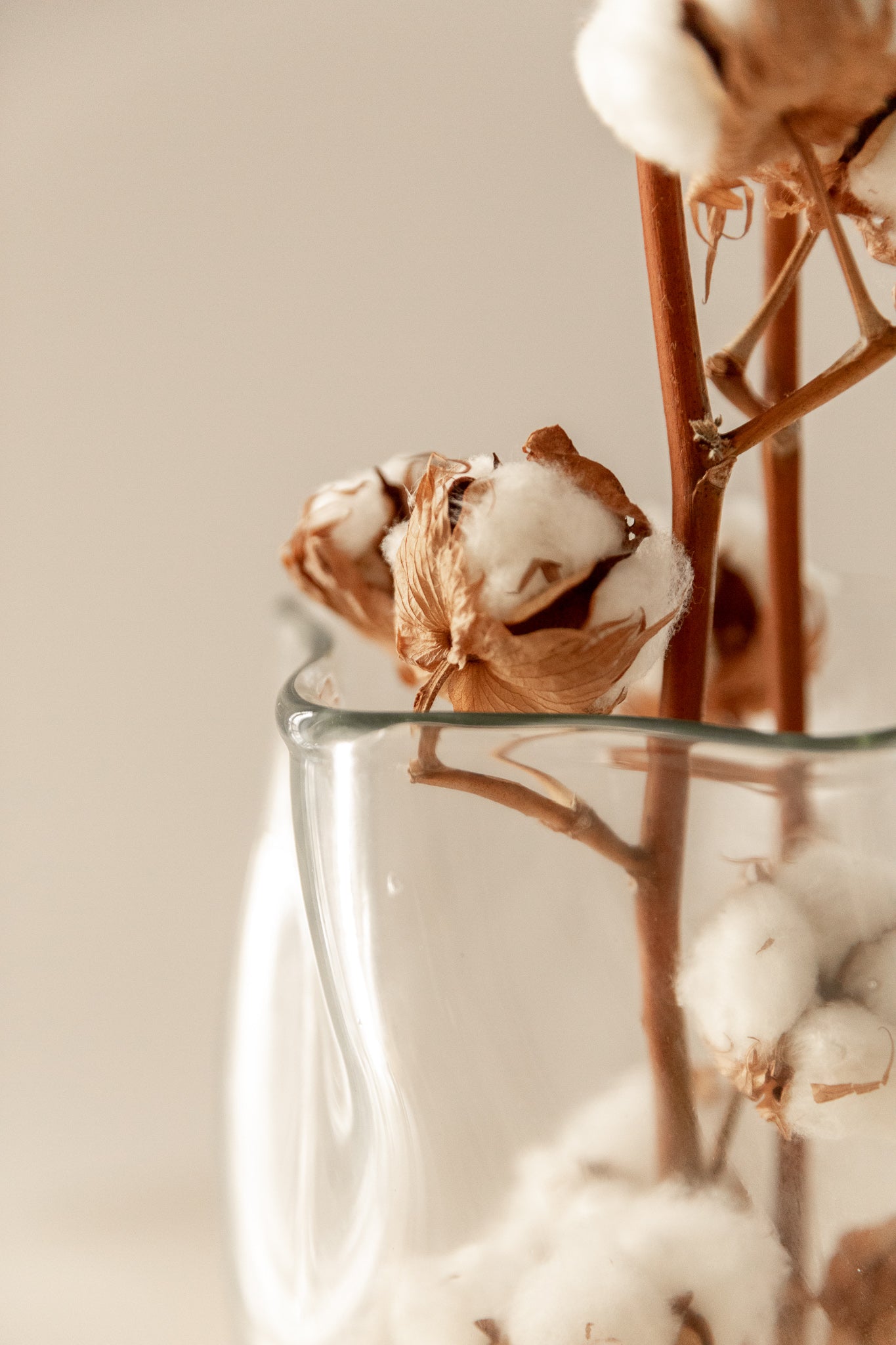 Jarrón de Cristal Orgánico del Siglo XXI - 3