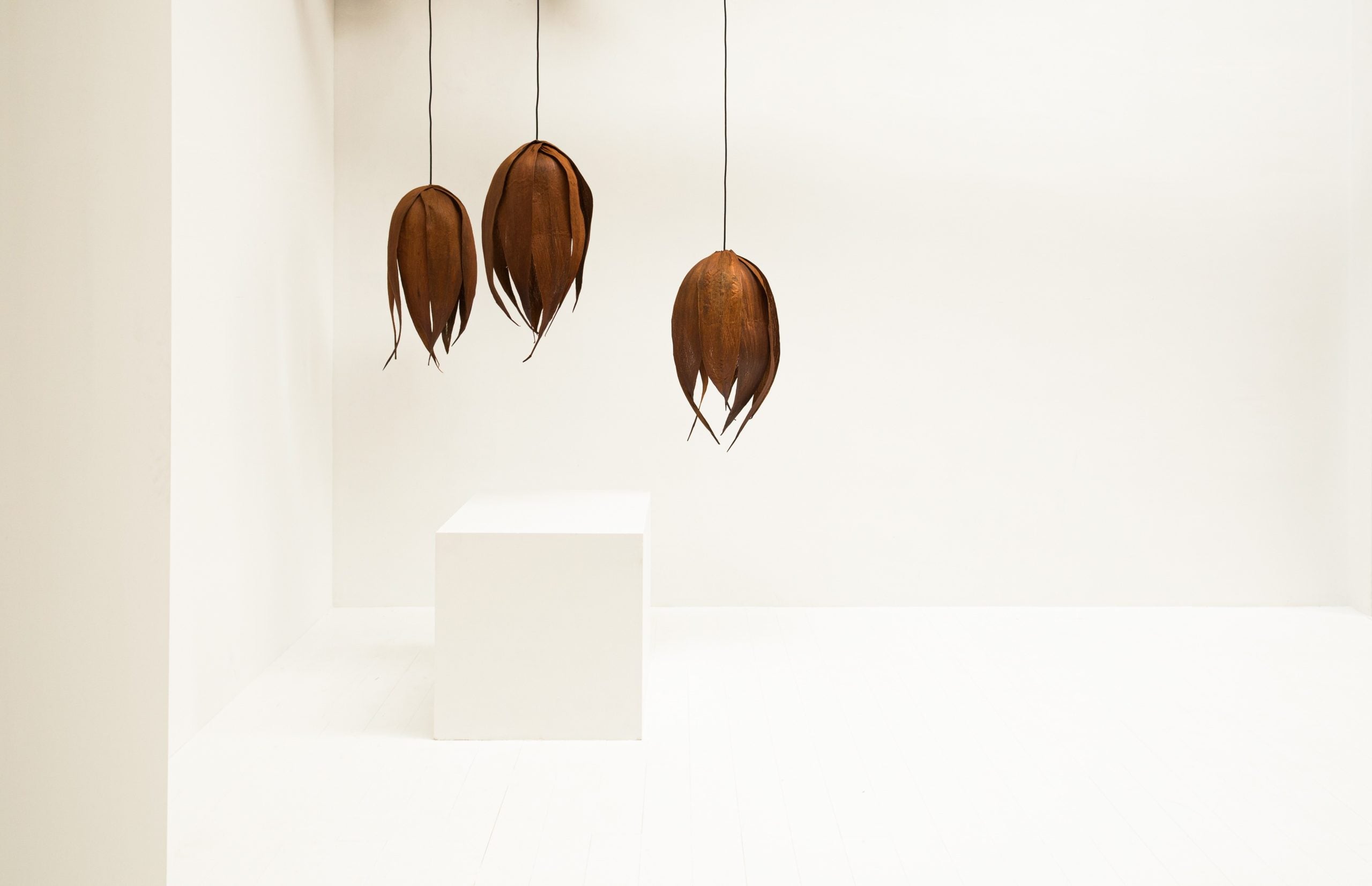 Lámpara de Techo del Siglo XXI en Hoja de Palma Americana