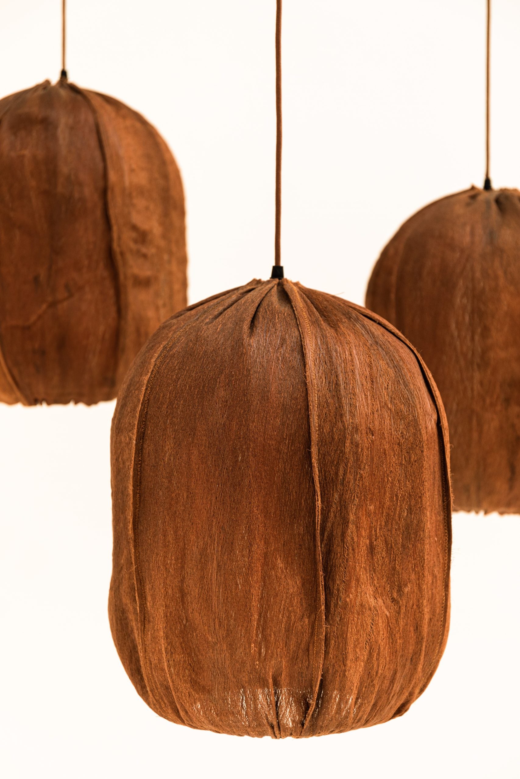 Lámpara de Techo del Siglo XXI en Hoja de Palma Americana - 2