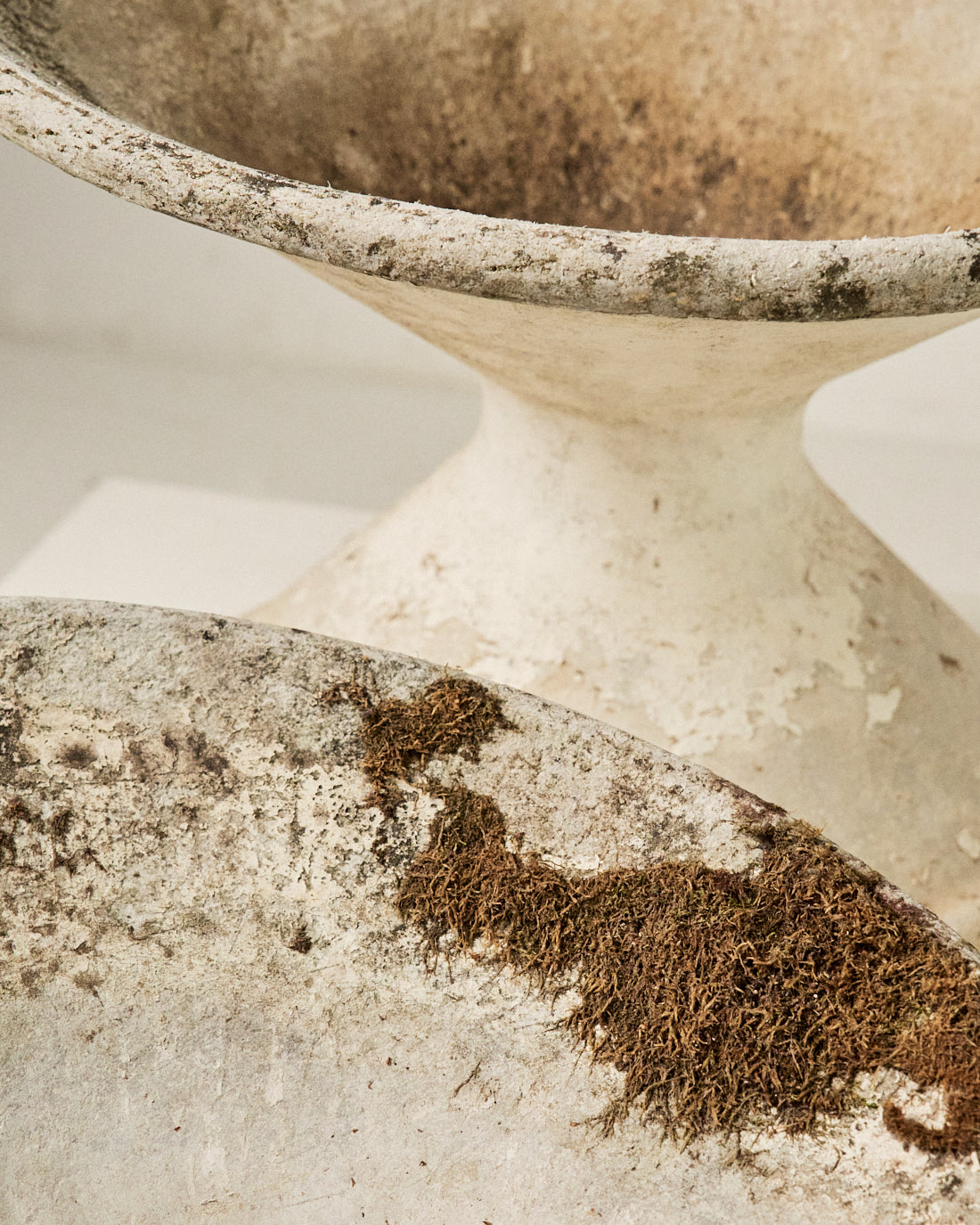 Macetero Jardín de Hormigón del Siglo XX Modelo Diablo - 6