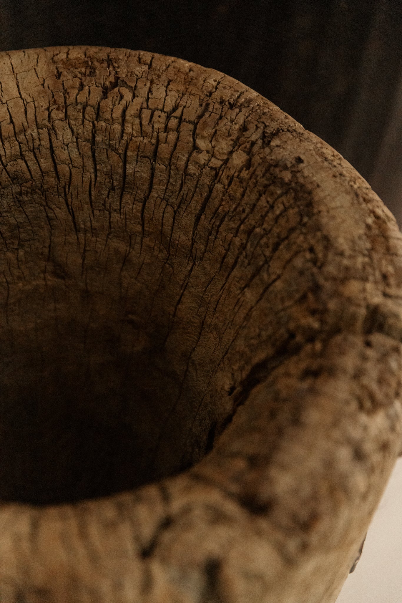 TRONCO DE ARBOL AHUECADO PEQUEÑO | No.1 - 5