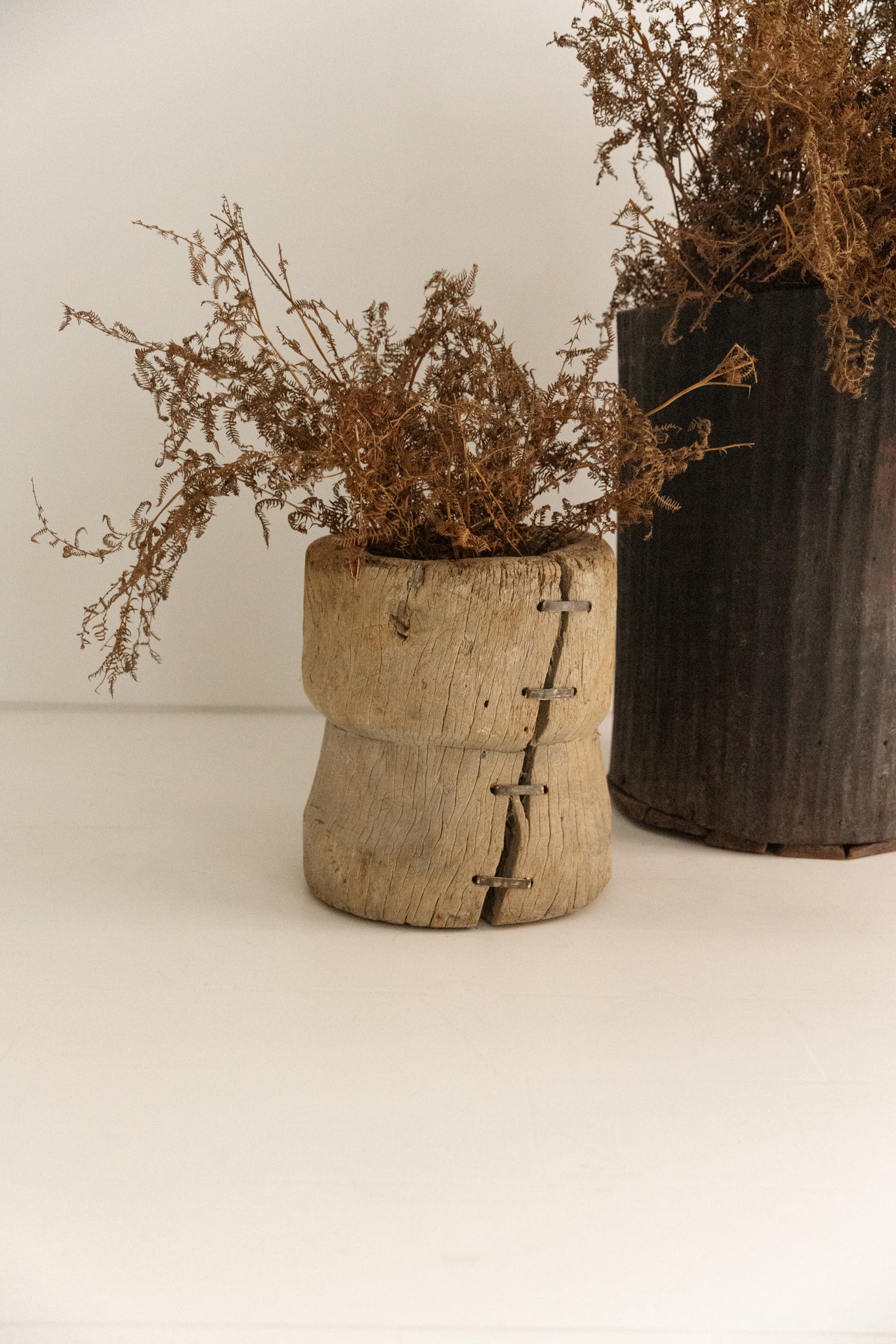 TRONCO DE ARBOL AHUECADO PEQUEÑO | No.1