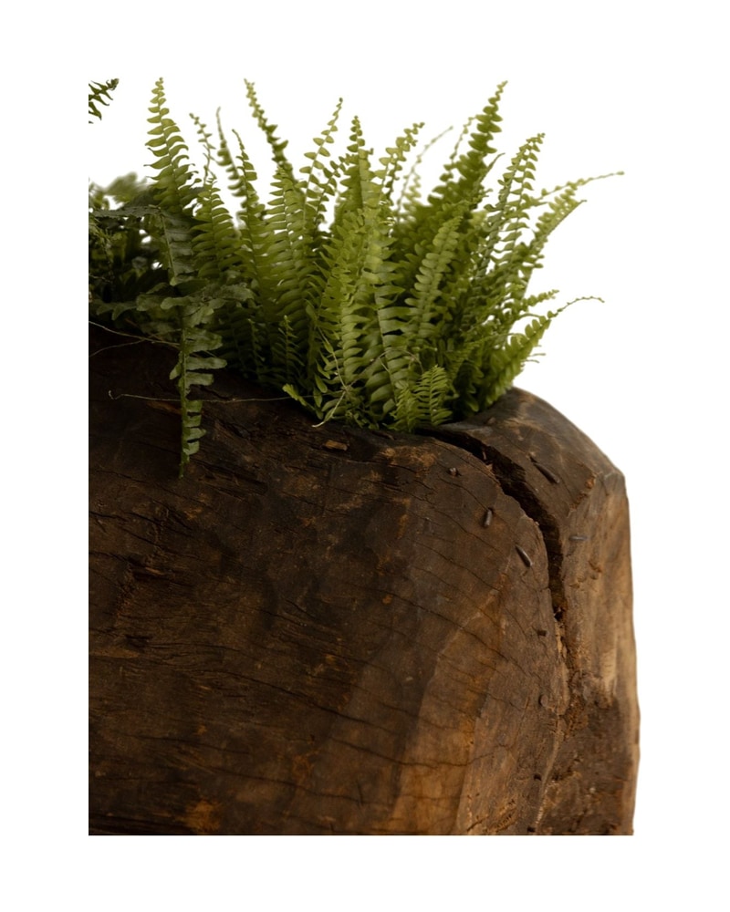 19th Century Gurague Log of Solid Wood - 4/4