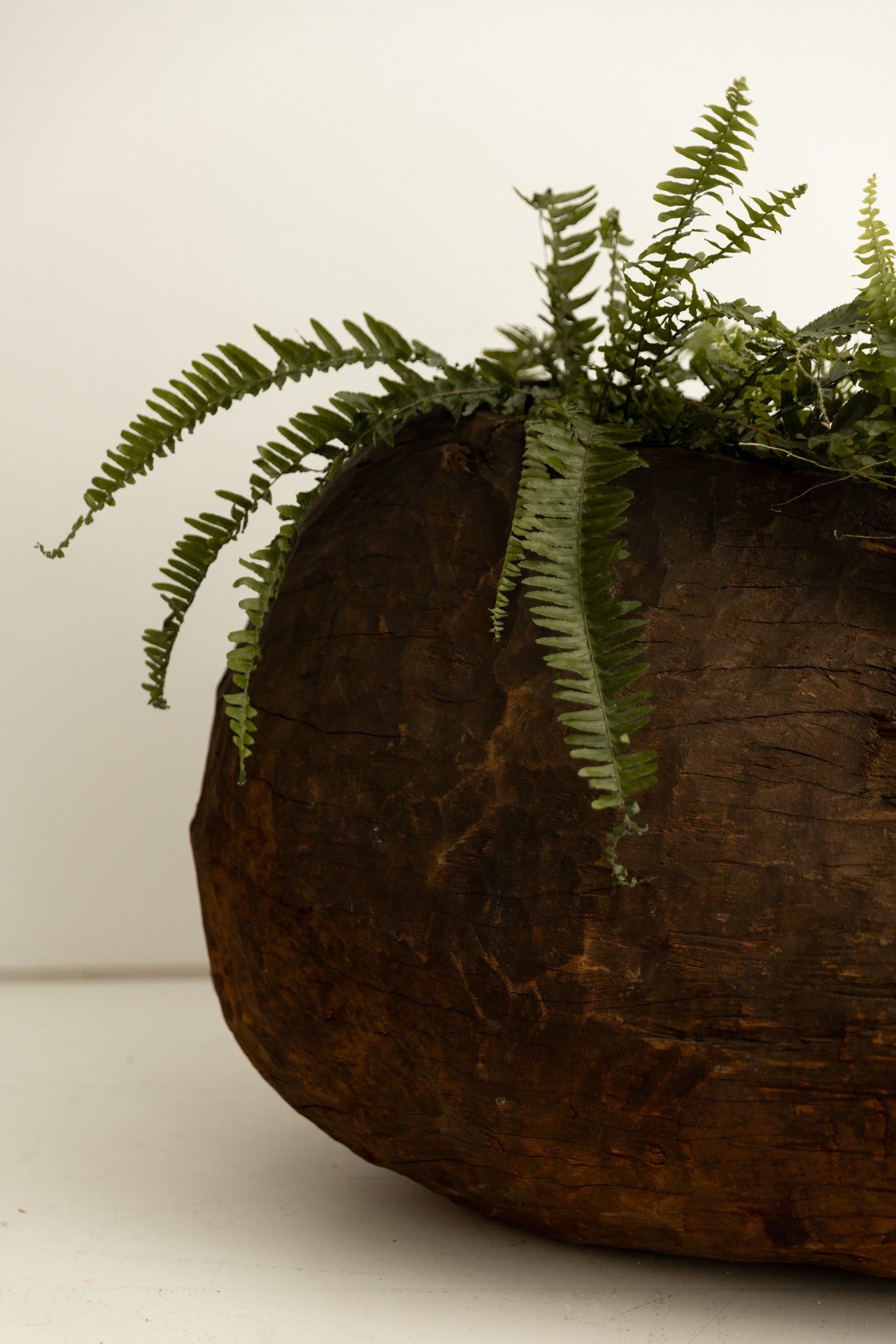 Tronco Gurague del Siglo XIX de Madera Maciza - 2