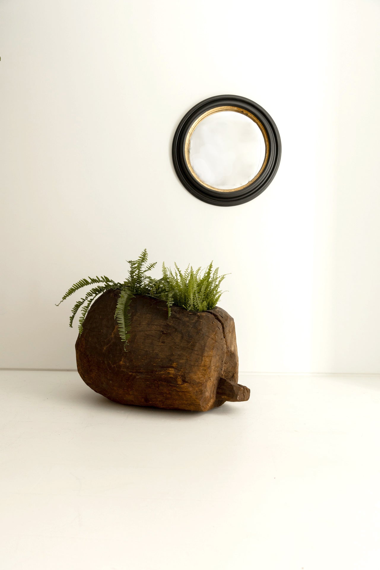 Tronco Gurague del Siglo XIX de Madera Maciza