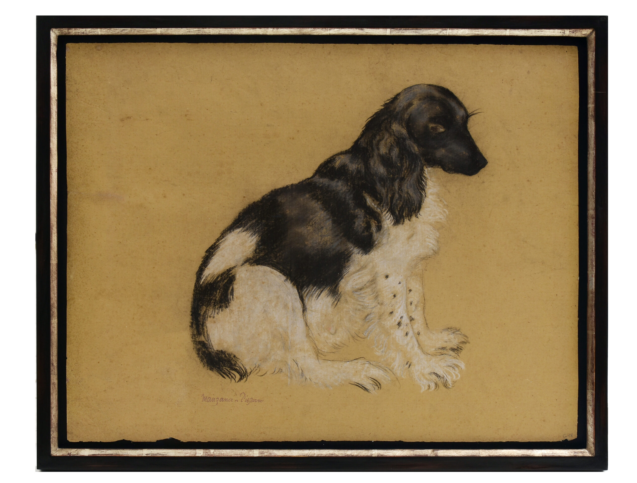 Manzana-Pissarro – Spaniel - Photo 3 of 3