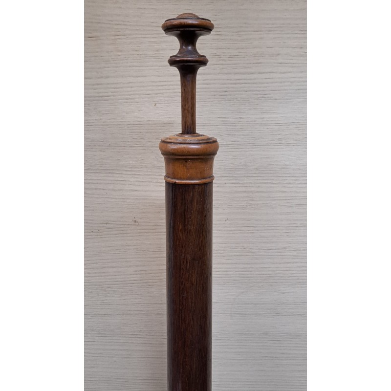 Curious and rare Isabeline spittoon, mahogany and chicaranda, 19th century - 3/12