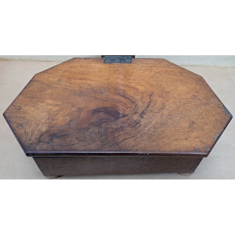 Curious and rare Isabeline spittoon, mahogany and chicaranda, 19th century - 7/12