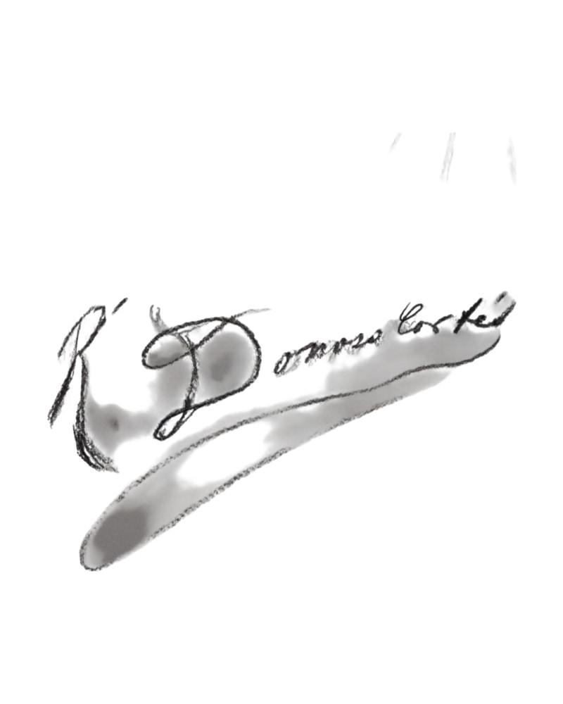 lote-completo-de-ricardo-donoso-cortes-joven-xix-84-61-documentacion-esbozos-ret