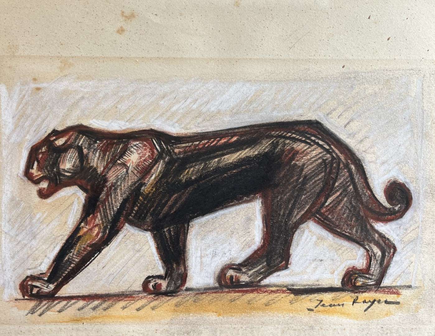 Drawing of Panthera from the 20th Century by Jean Royer