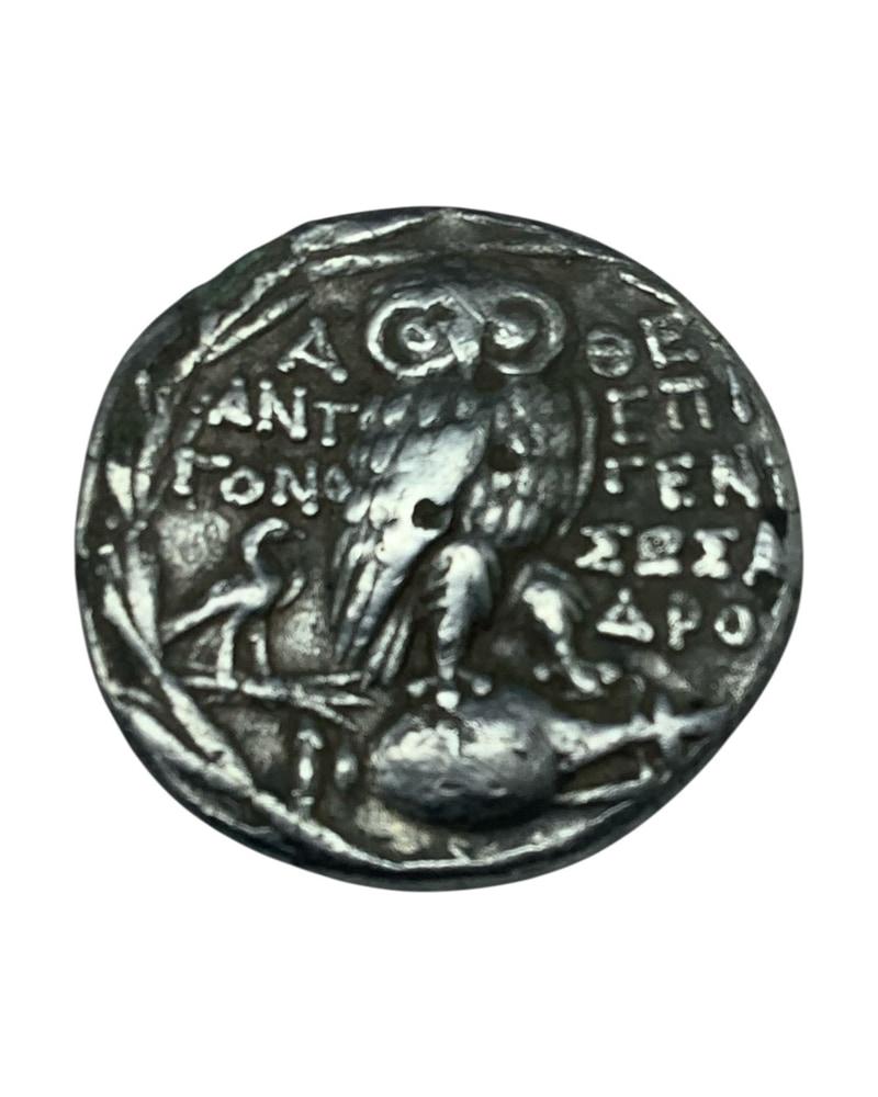 Photoroom_20260420_134451